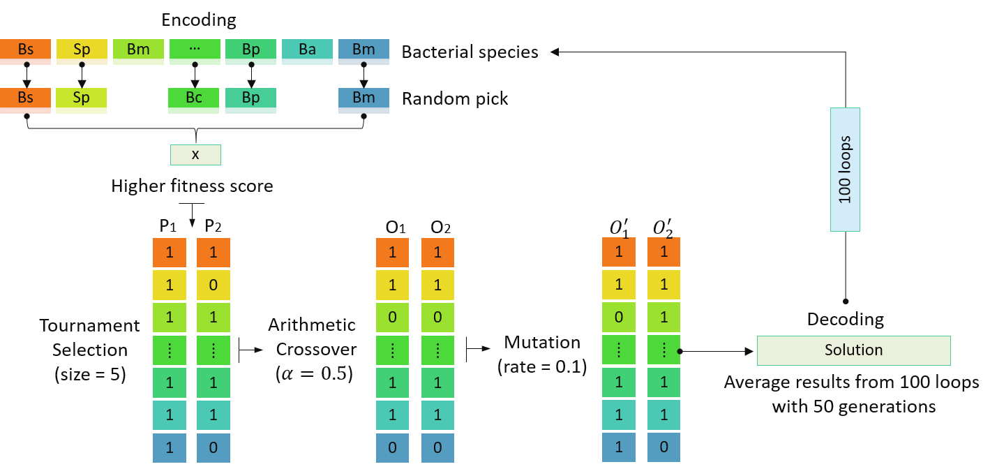 Genetic algorithm workflow diagram with selection, crossover, mutation, and evaluation stages