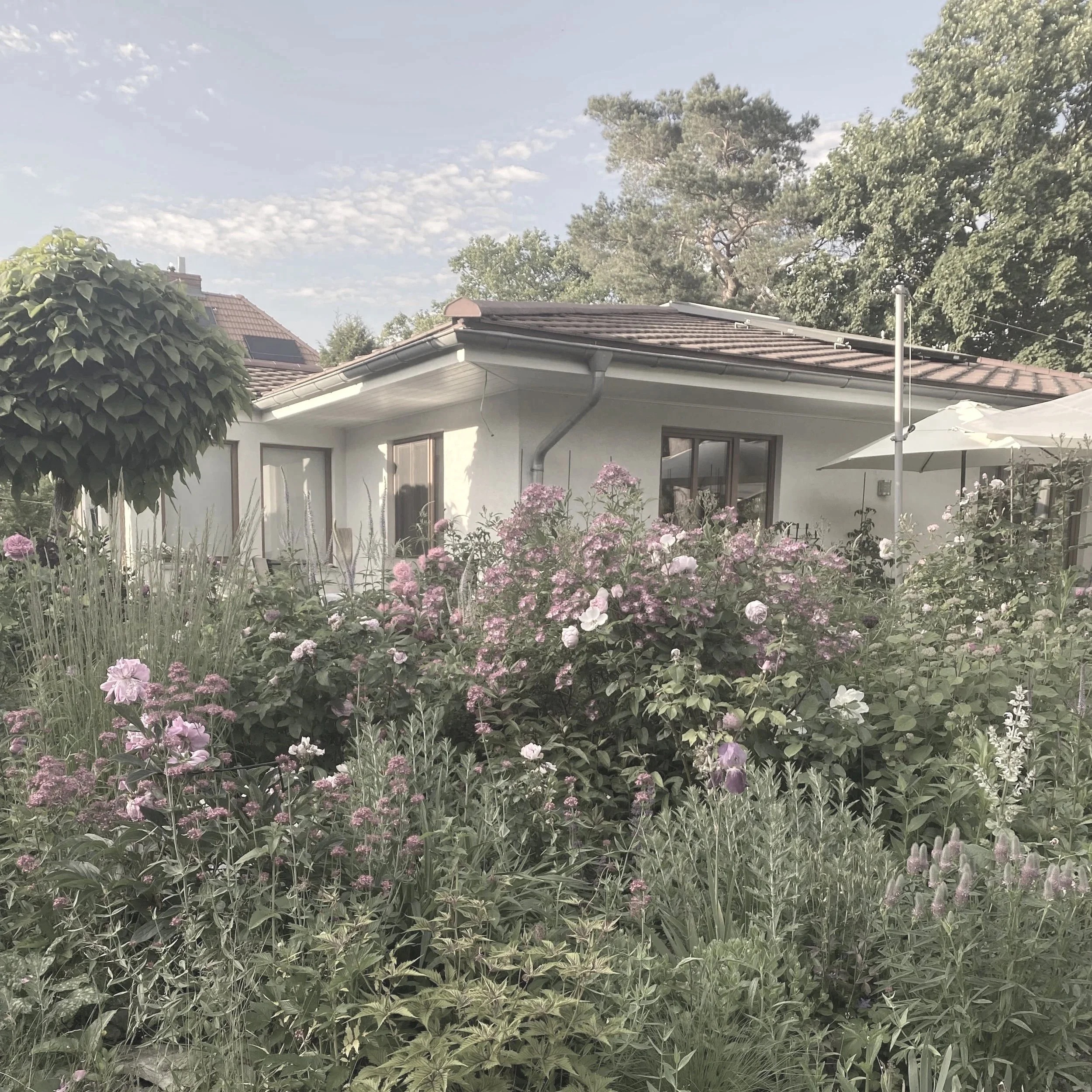 Pavillionhaus barrierefrei