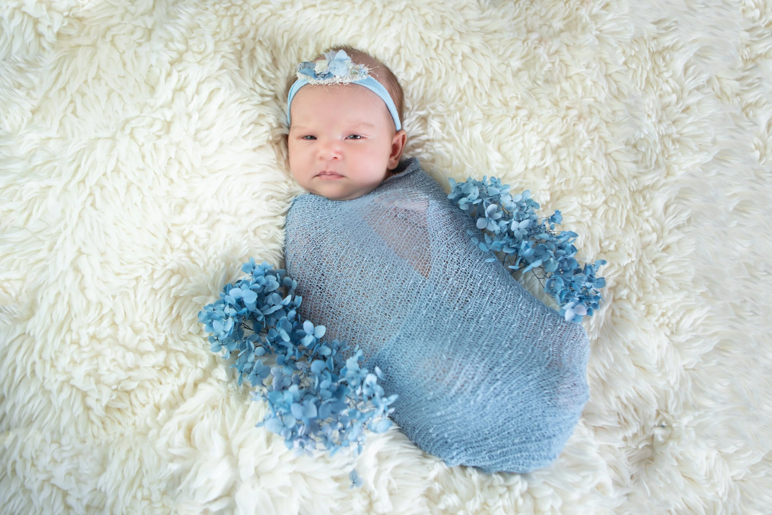 Newborn Brisbane Photographer20.jpg