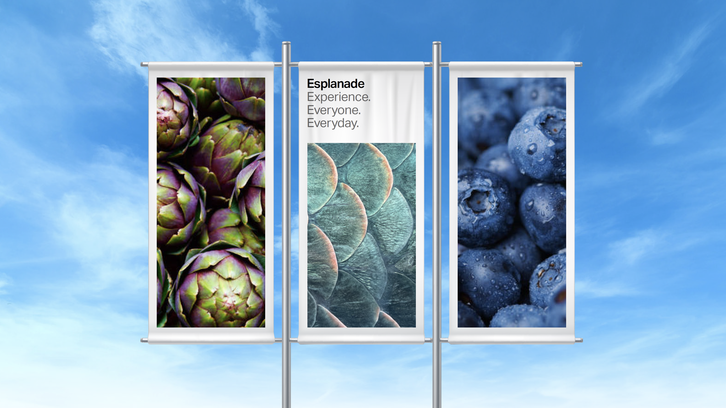 Screenshot 2026-02-24 at 10.51.41 AM.png