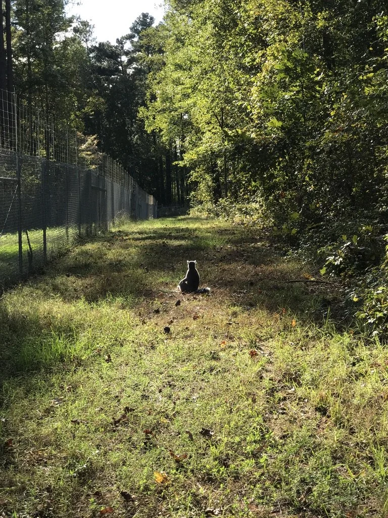 How I Build Relationships