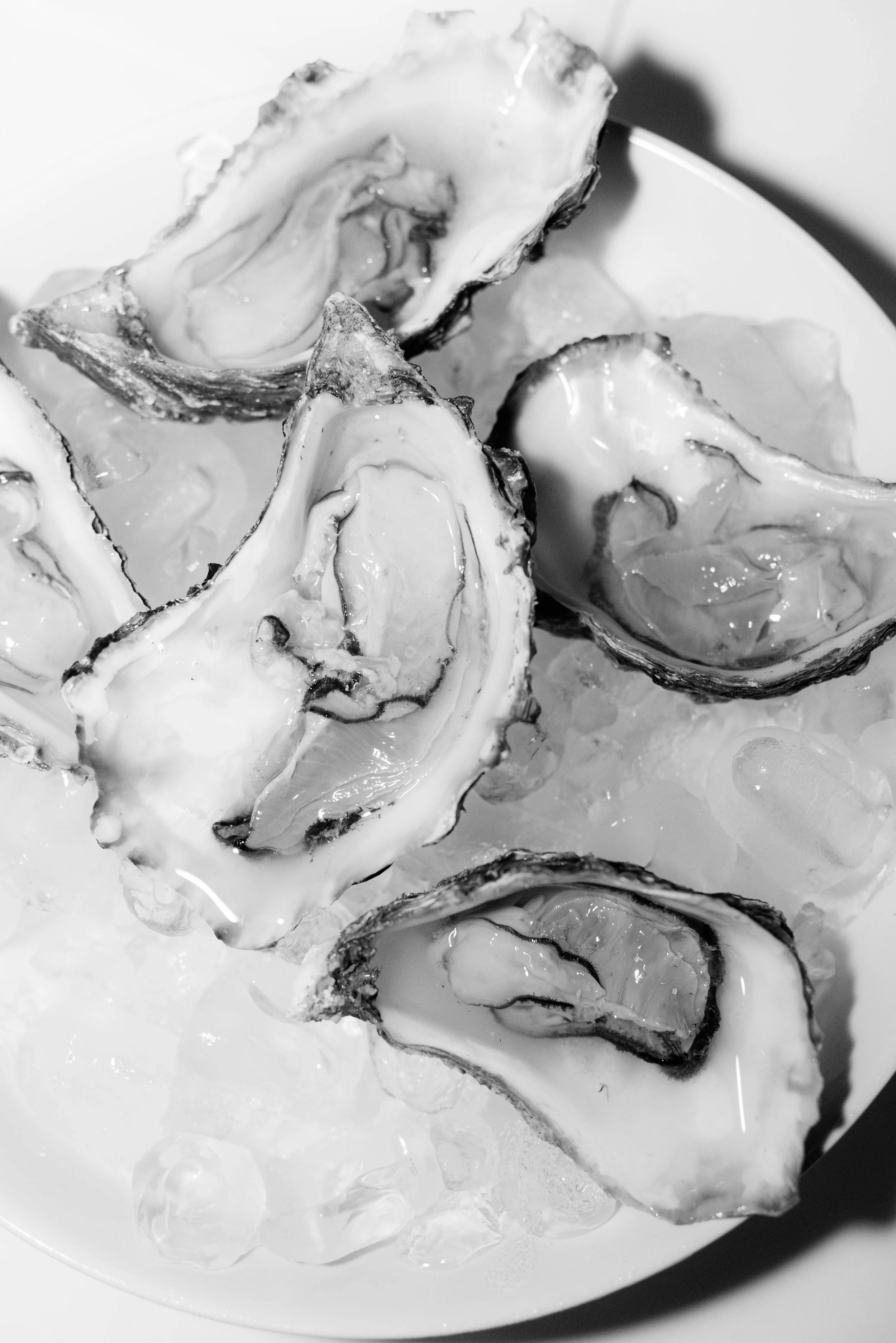 Schwarz-weiße Nahaufnahme von geöffneten Austern auf Eis, in einem weißen Teller