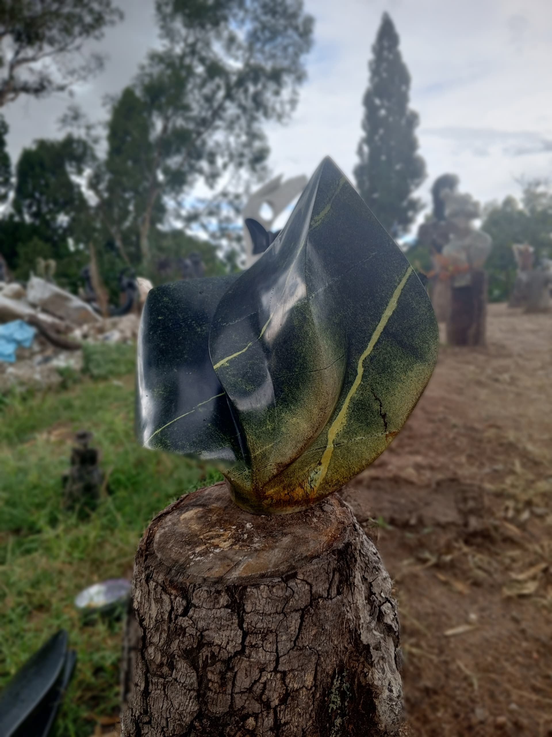 Leopard Stone Leaves