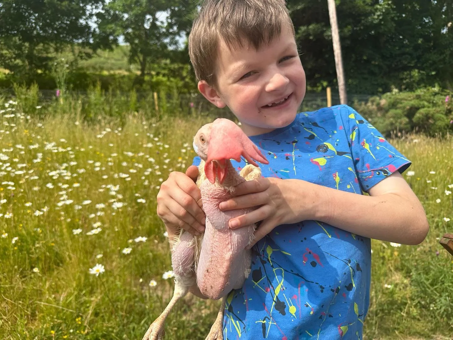 Today we rescued 10 ex-commercial hens. Huwi&rsquo;s going to give them plenty of TLC and a new loving home 🐓🥚💕

#rescuehens #rescuechickens #exbatteryhens