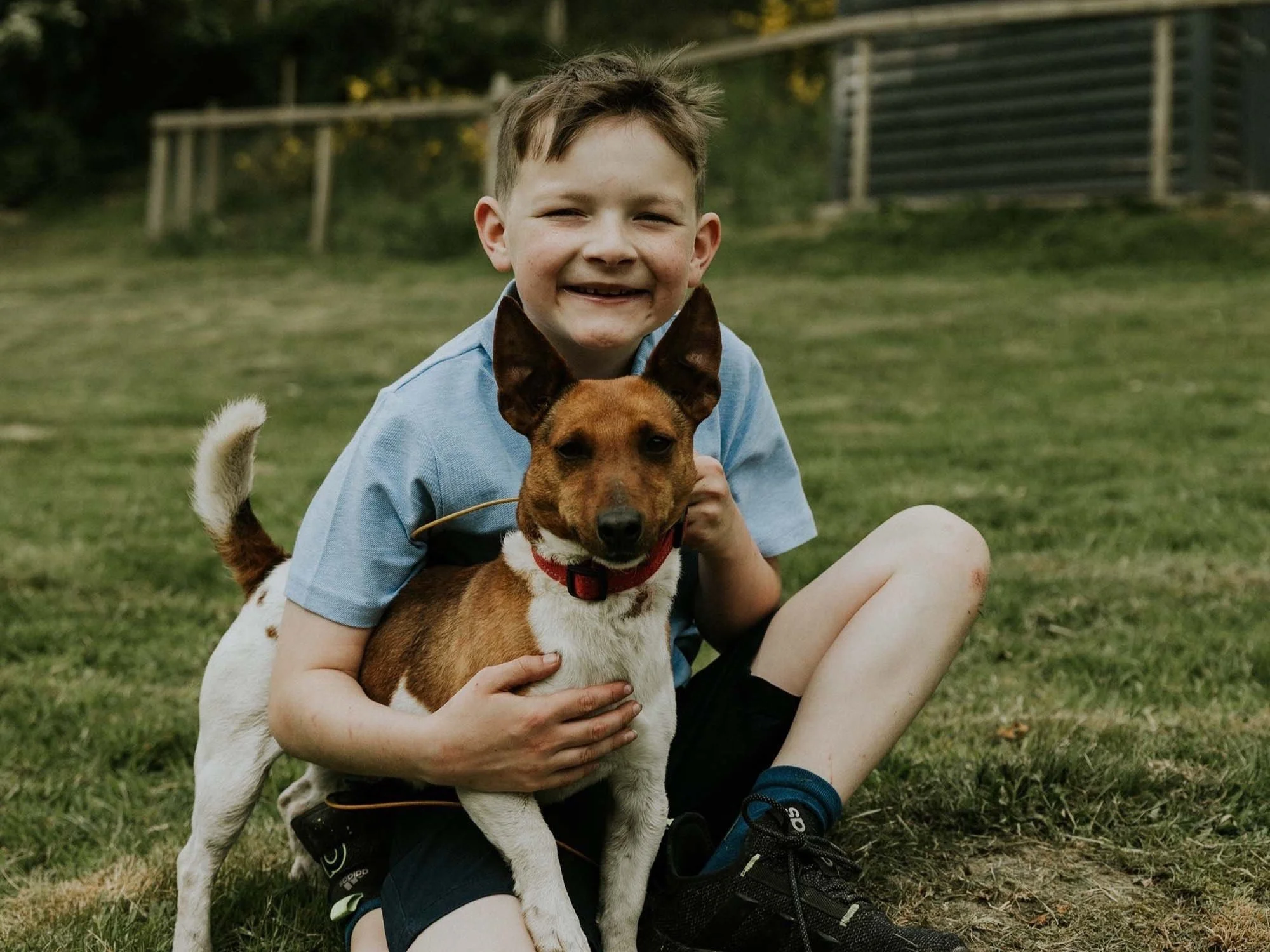 A young boy sitting on grass outdoors, smiling, holding a brown and white dog with large ears and a red collar.