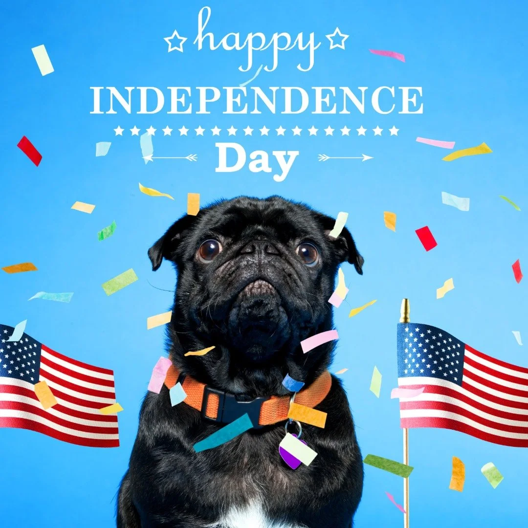 π Happy 4th of July from Marrownaide! π
As you fire up the grill, don’t forget your pup deserves a celebration too!
Treat them to the freedom of flavor with our nutrient-rich dog food enhancer — made with love and packed with everythi