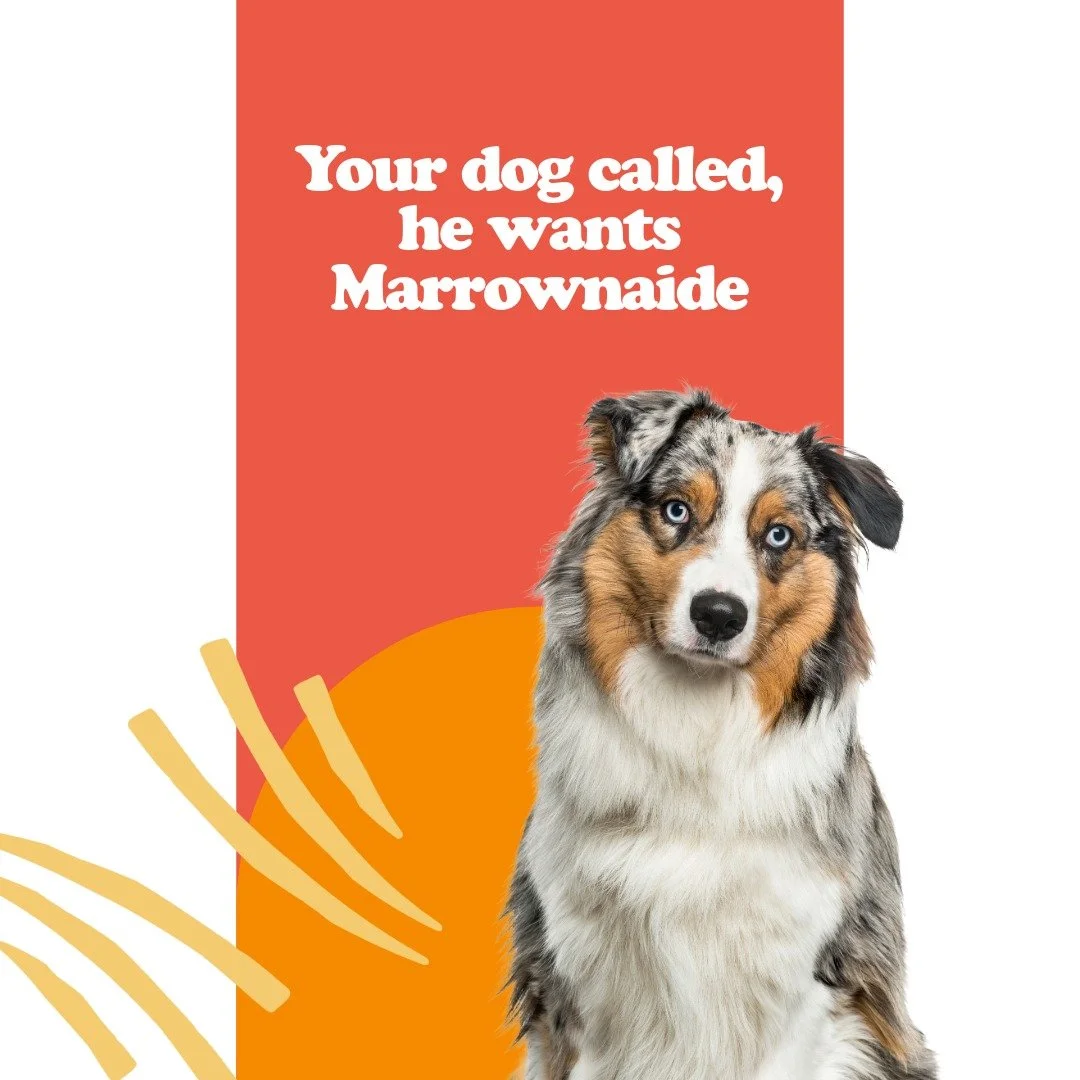 πΎβοΈ Join us for the Dog Days of Summer!
We’ll be out at TWO great spots this Saturday:
π Perkasie Farmers Market | 9 AM – 12 PM
π Skippack Village (outside Nissley Vineyards) | 10 AM – 3 PM
Bring your pups, your friends, and yo