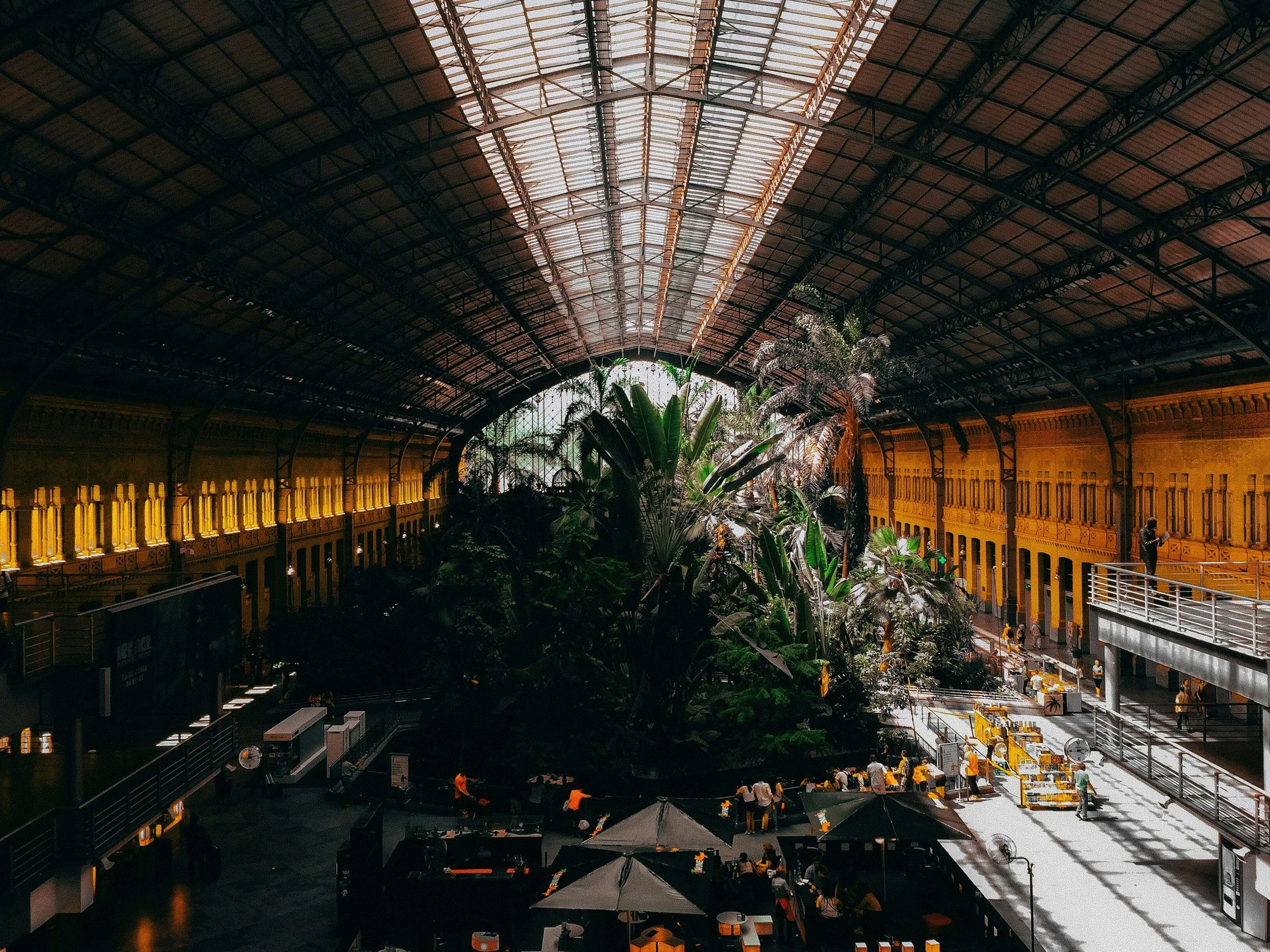 Zapatos nuevos y sopa de almendras