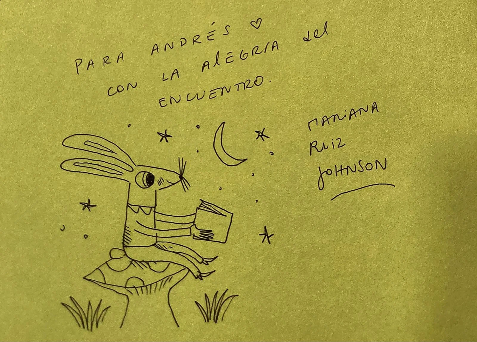 Mariana Ruiz Johnson