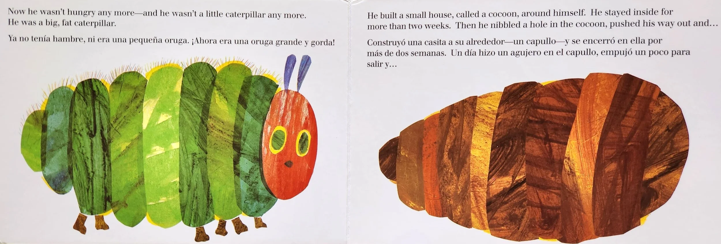 La oruga muy hambrienta