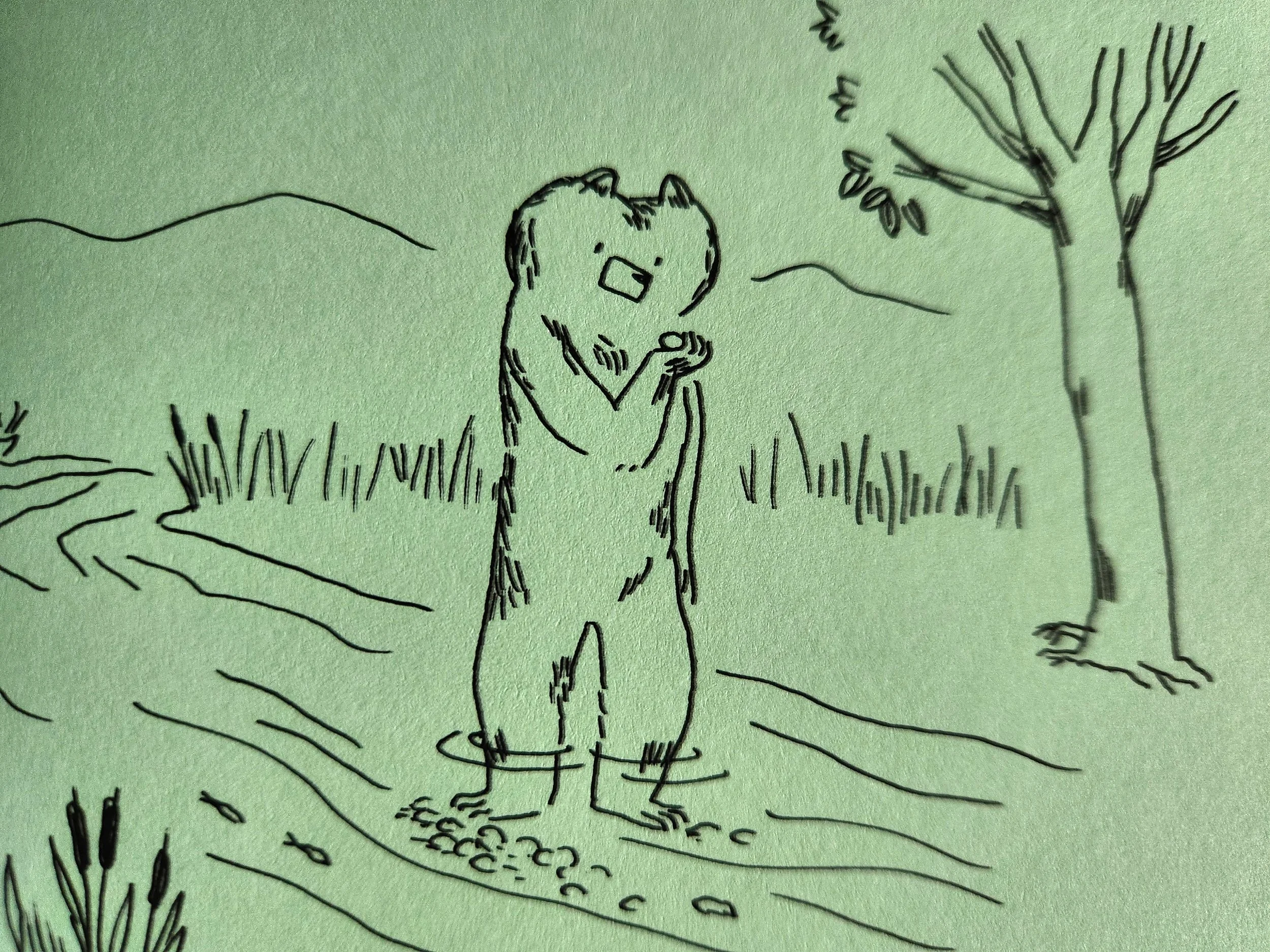 Björn: Seis historias de un oso