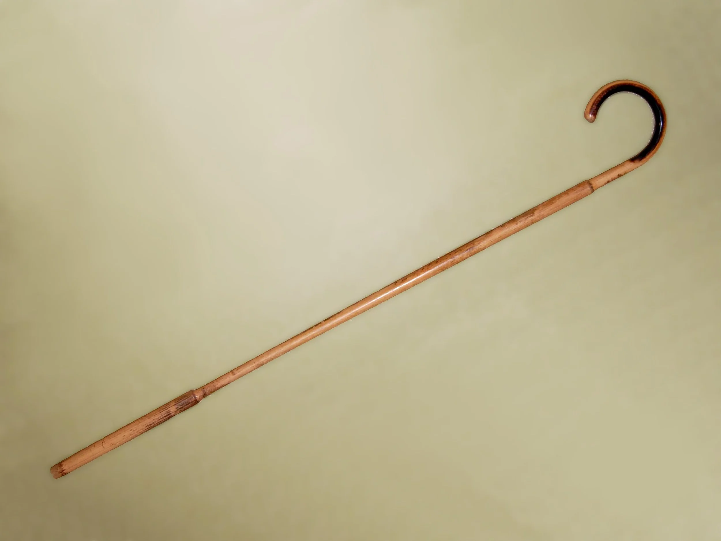 bastón