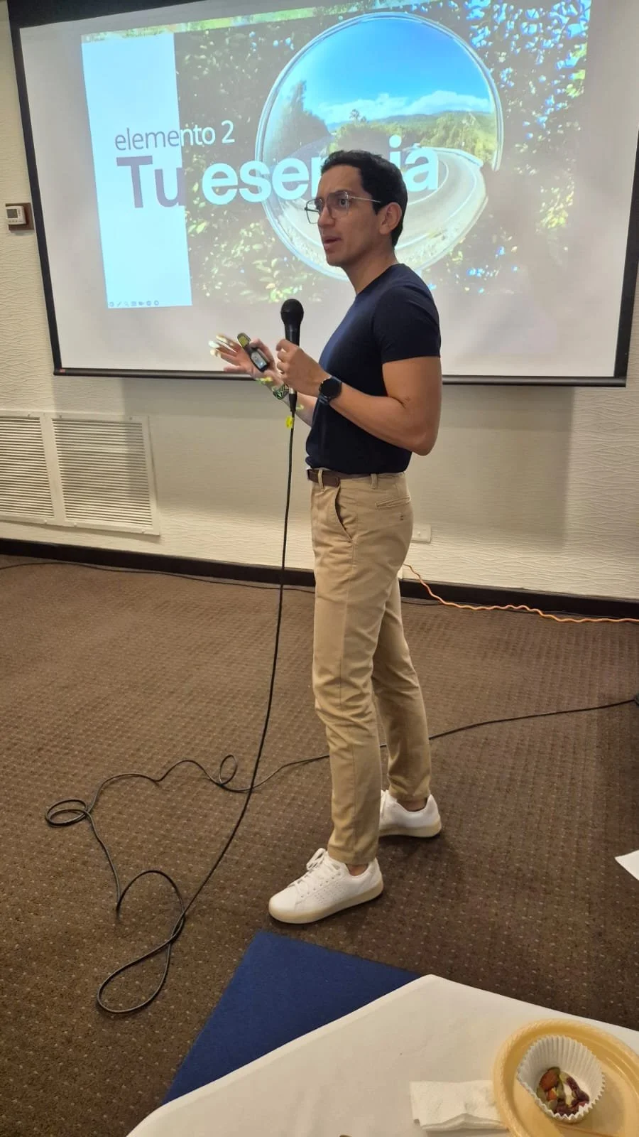 Andrés Beltanien