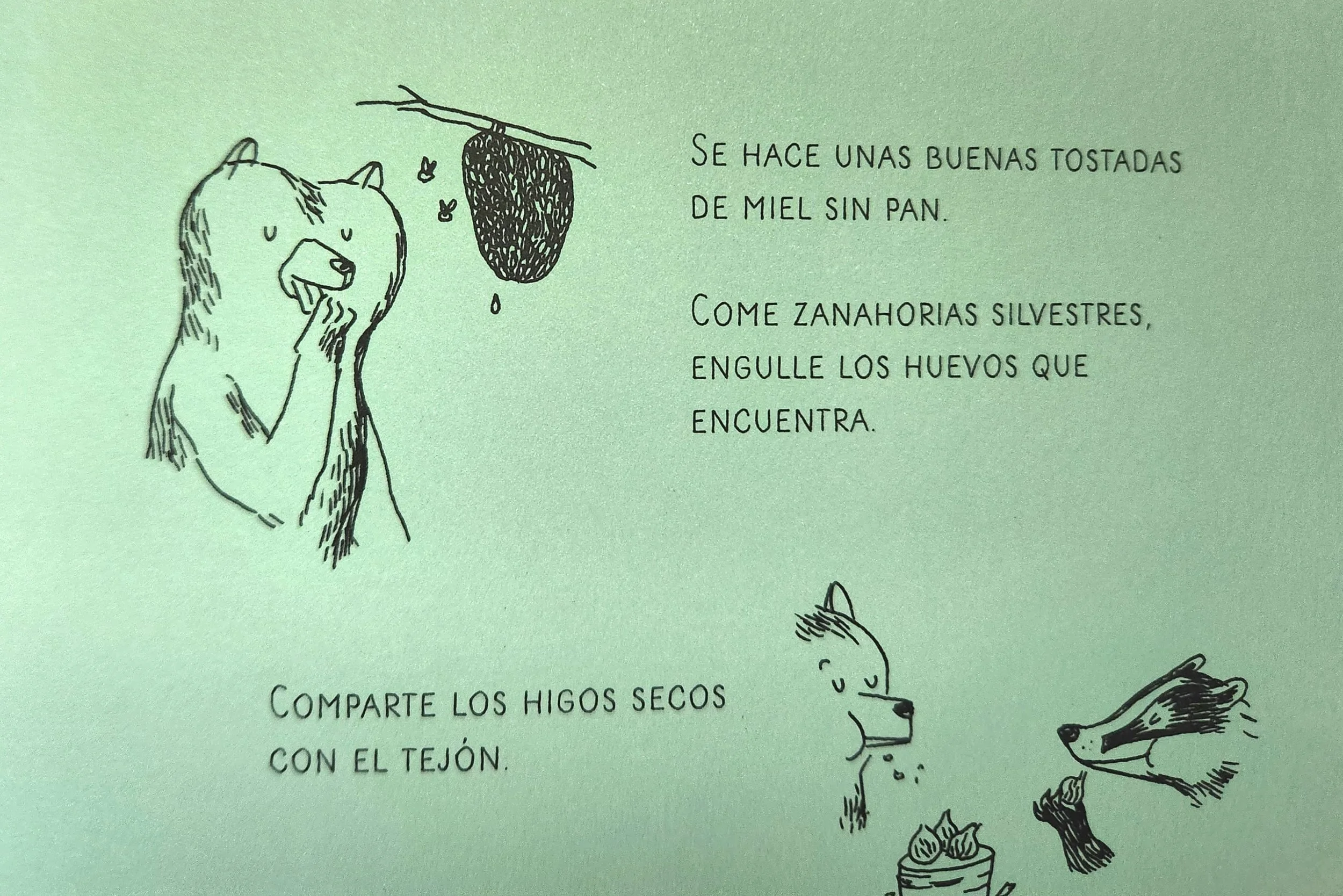 Björn: Seis historias de un oso