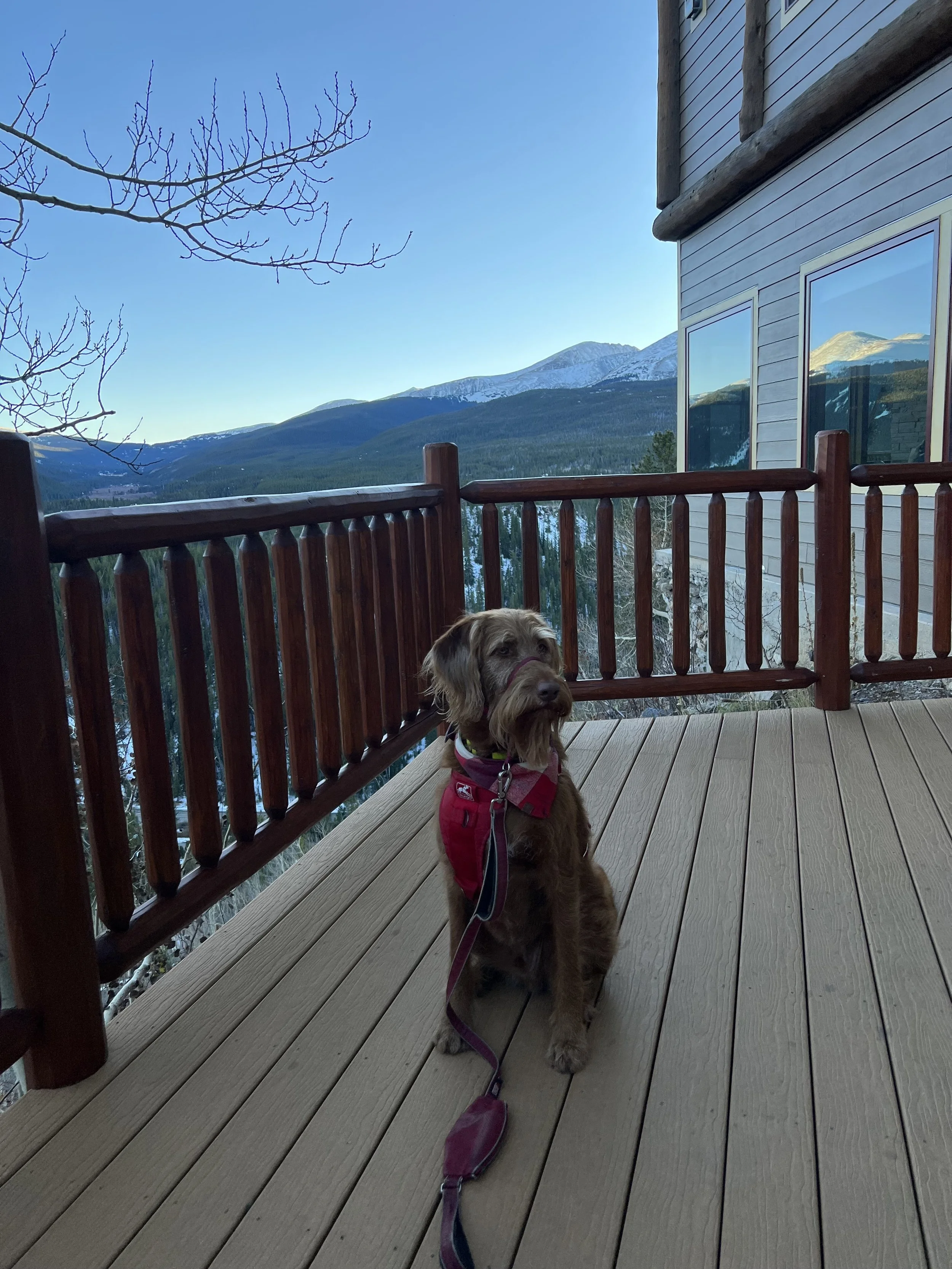 Copper at Traverse Restaurant and Bar at The Lodge in Breckenrdige