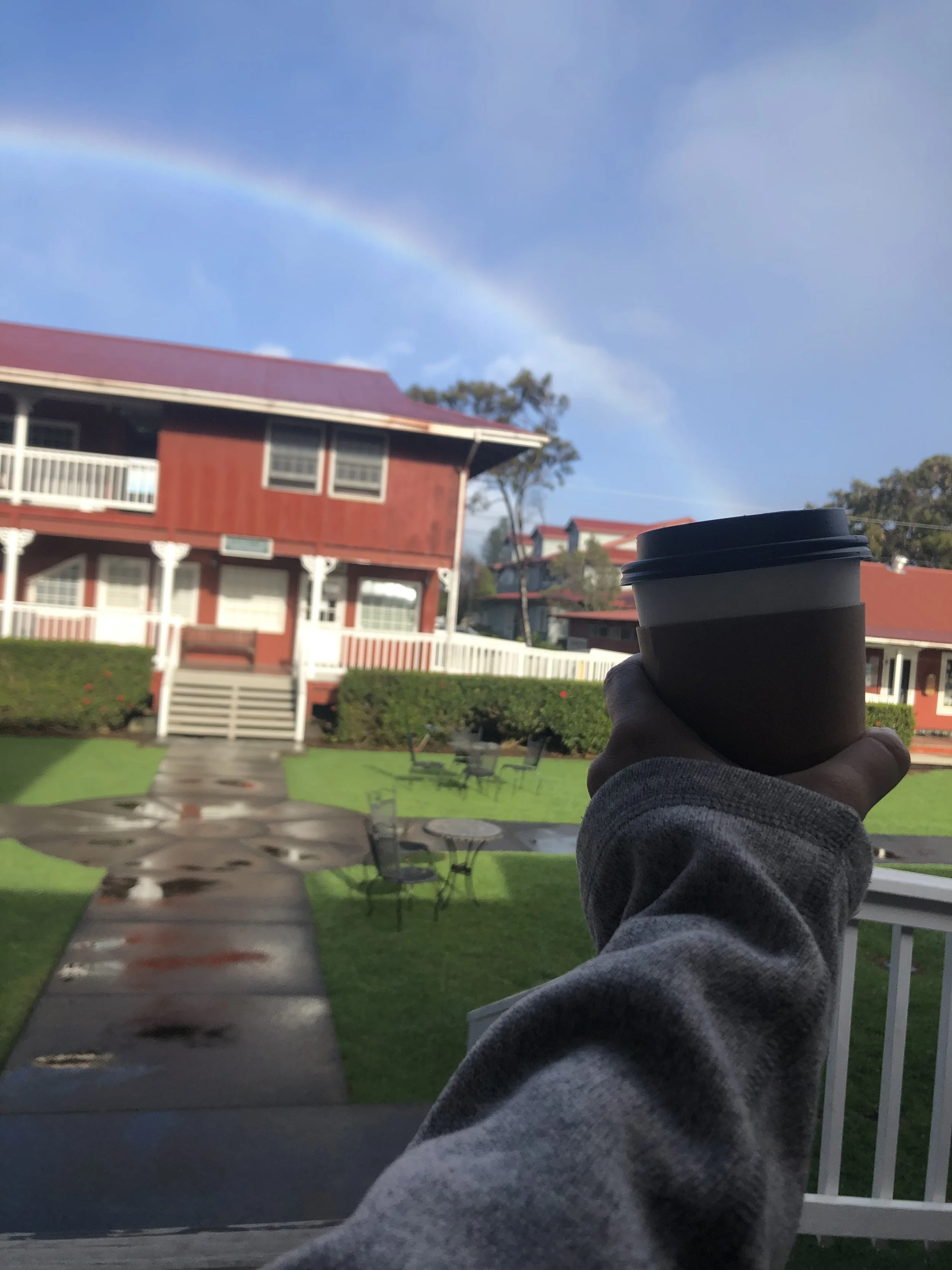 Hawaiian rainbow into a coffee cup because I found out I was allergic to Hawaiian Tropic sunscreen and needed a day for the benadryl to kick in.