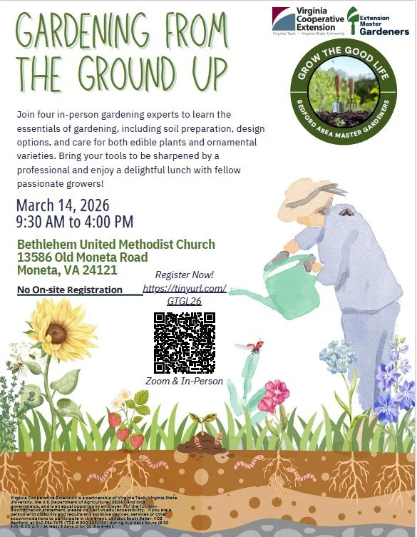 Gardening from the Ground Up