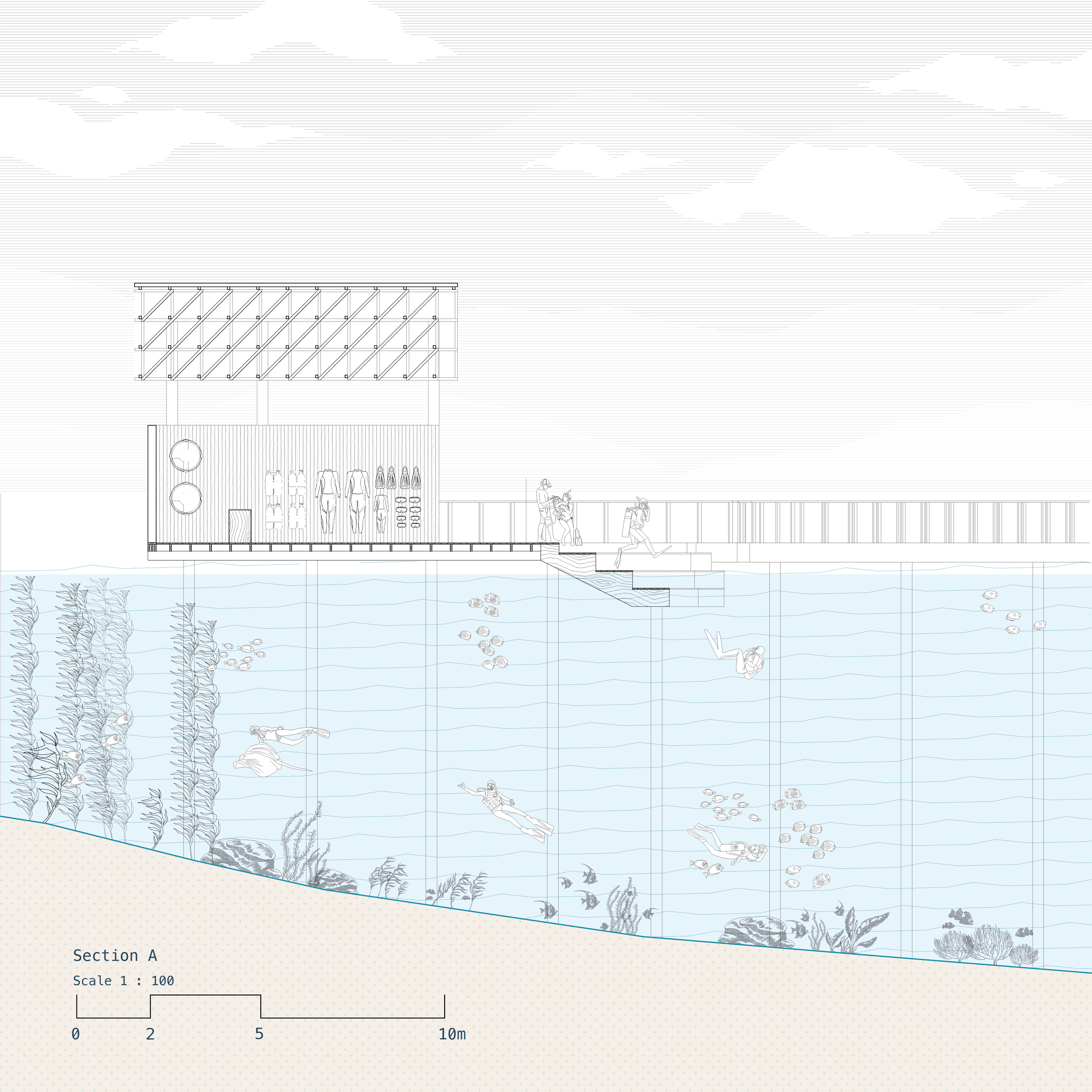 Architectural section drawing of a waterfront building with display rooms, a pathway, and an underwater swimming area with people swimming and fish.