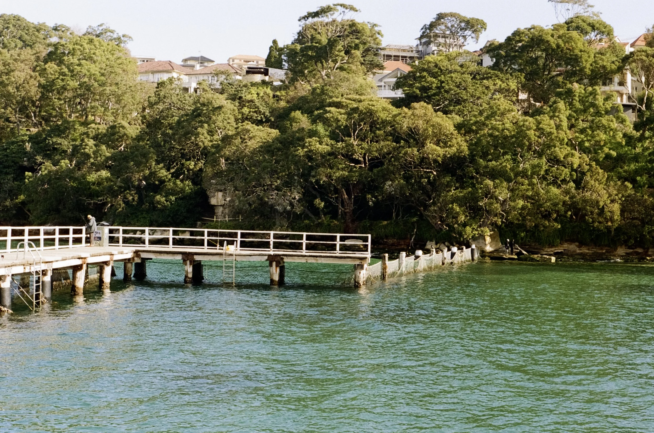 A wooden pier extends into calm green water with a person standing at the end. In the background, there are lush green trees and houses on a hillside.