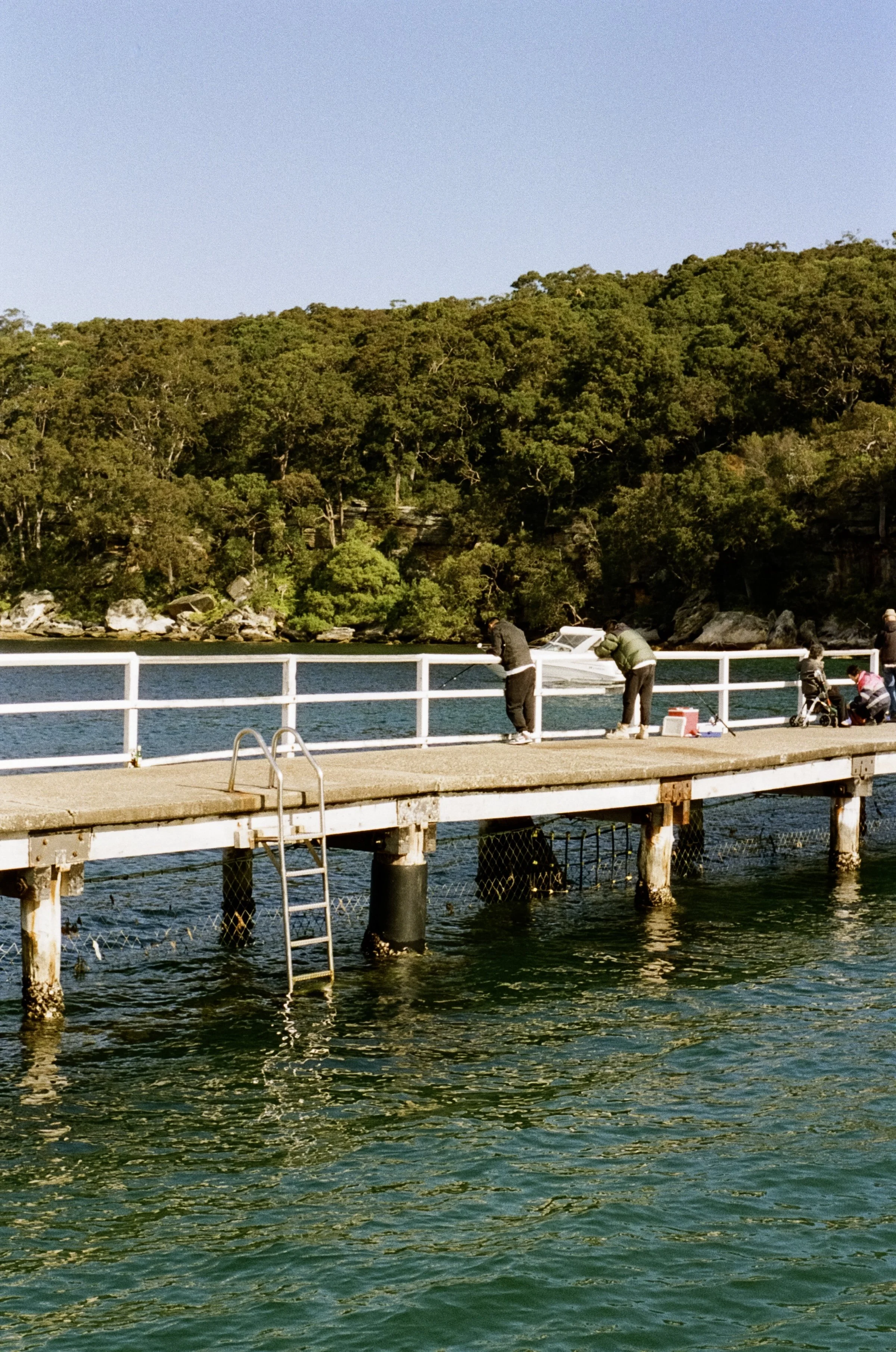 People fishing off a concrete pier on a sunny day, with a boat in the water and a green, wooded hillside in the background.