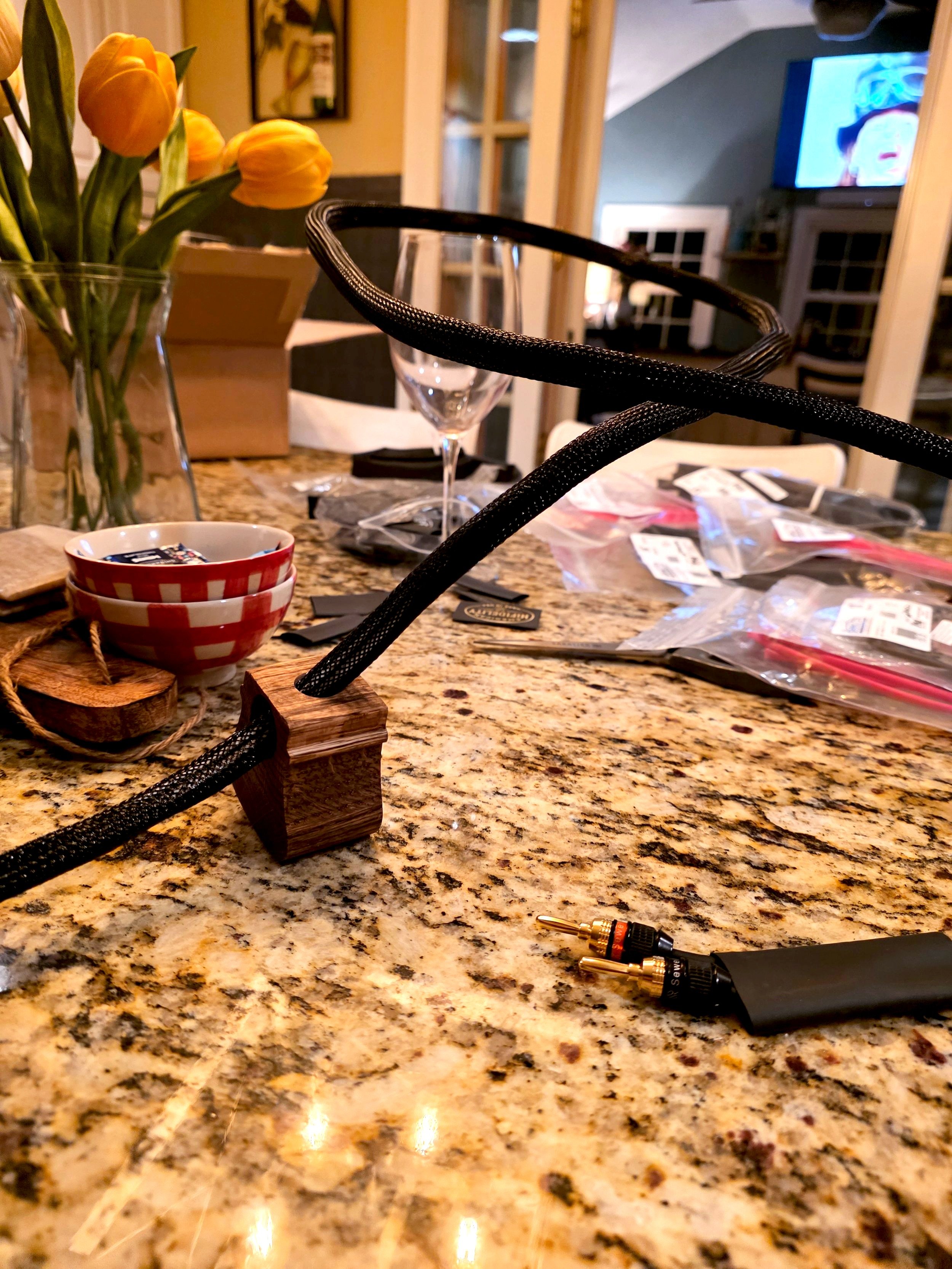 Speaker Cable Risers