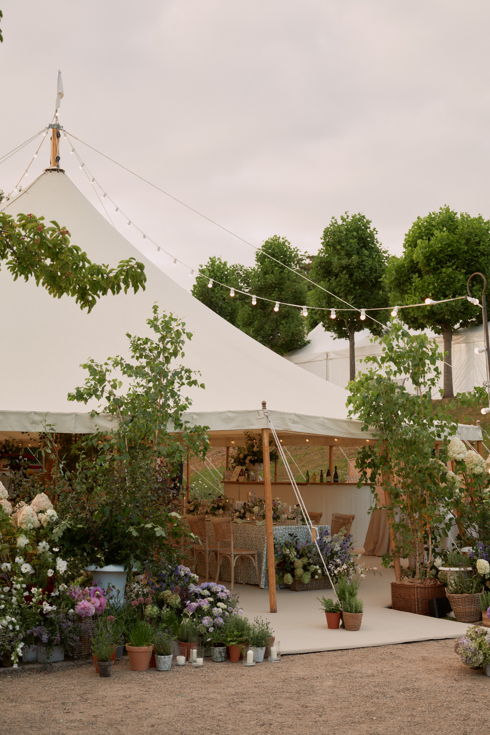 Sail&Peg-Beaverbrook-Wedding28.png