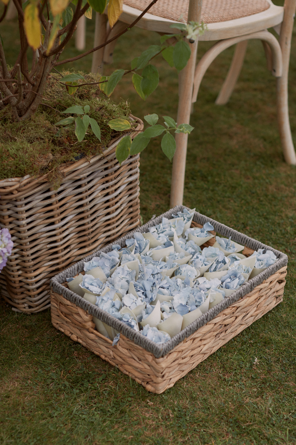 Sail&Peg-Beaverbrook-Wedding13.png