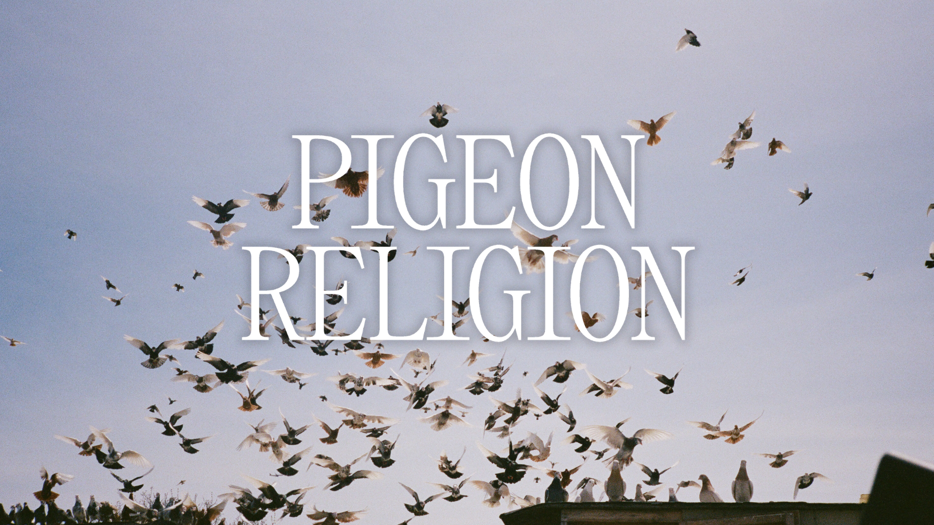 A flock of pigeons flying in the sky during daytime with large white text overlay that reads 'PIGEON RELIGION'.