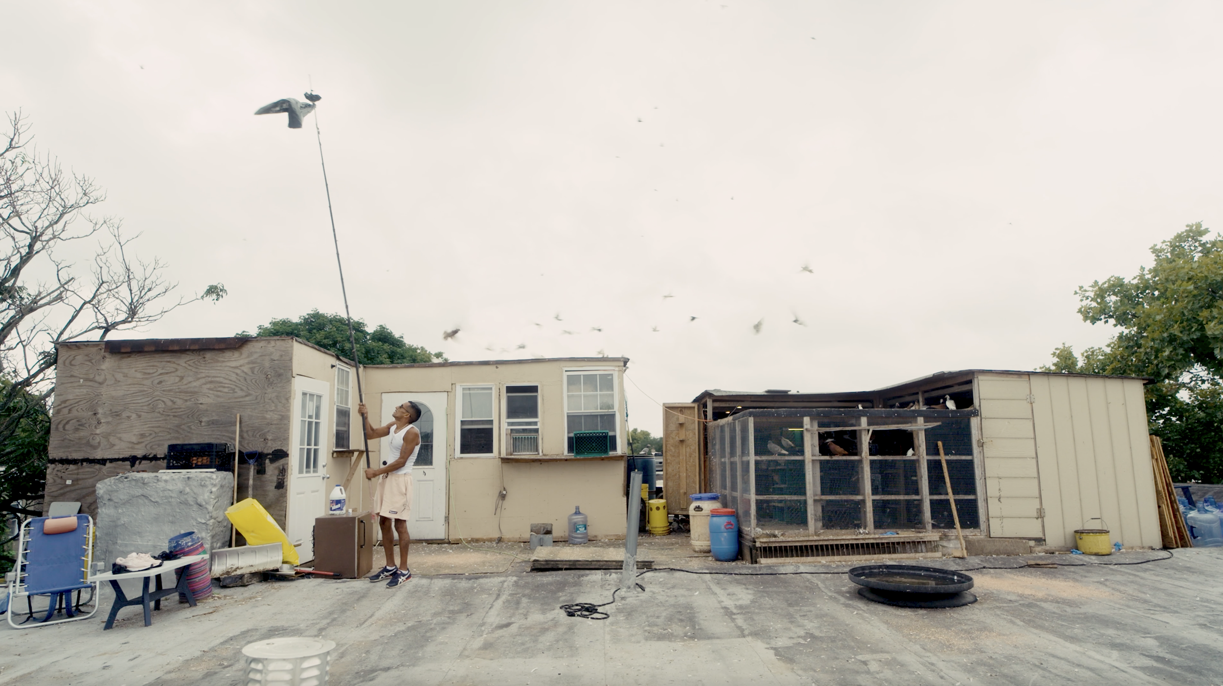 A man in a white tank top and shorts flying a kite on a rooftop with various objects and a chicken coop nearby, under a cloudy sky with birds flying overhead.