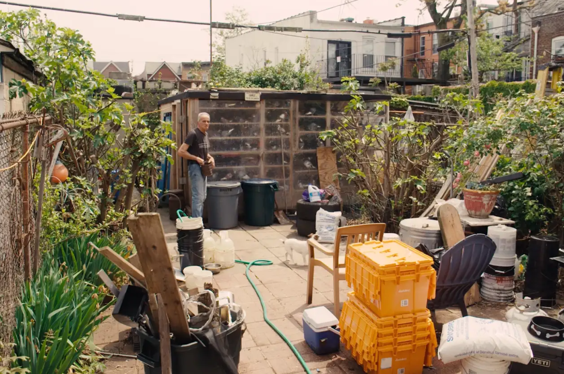 A backyard garden area with various gardening supplies, chairs, and small trees, with a man standing near a shed during the daytime.