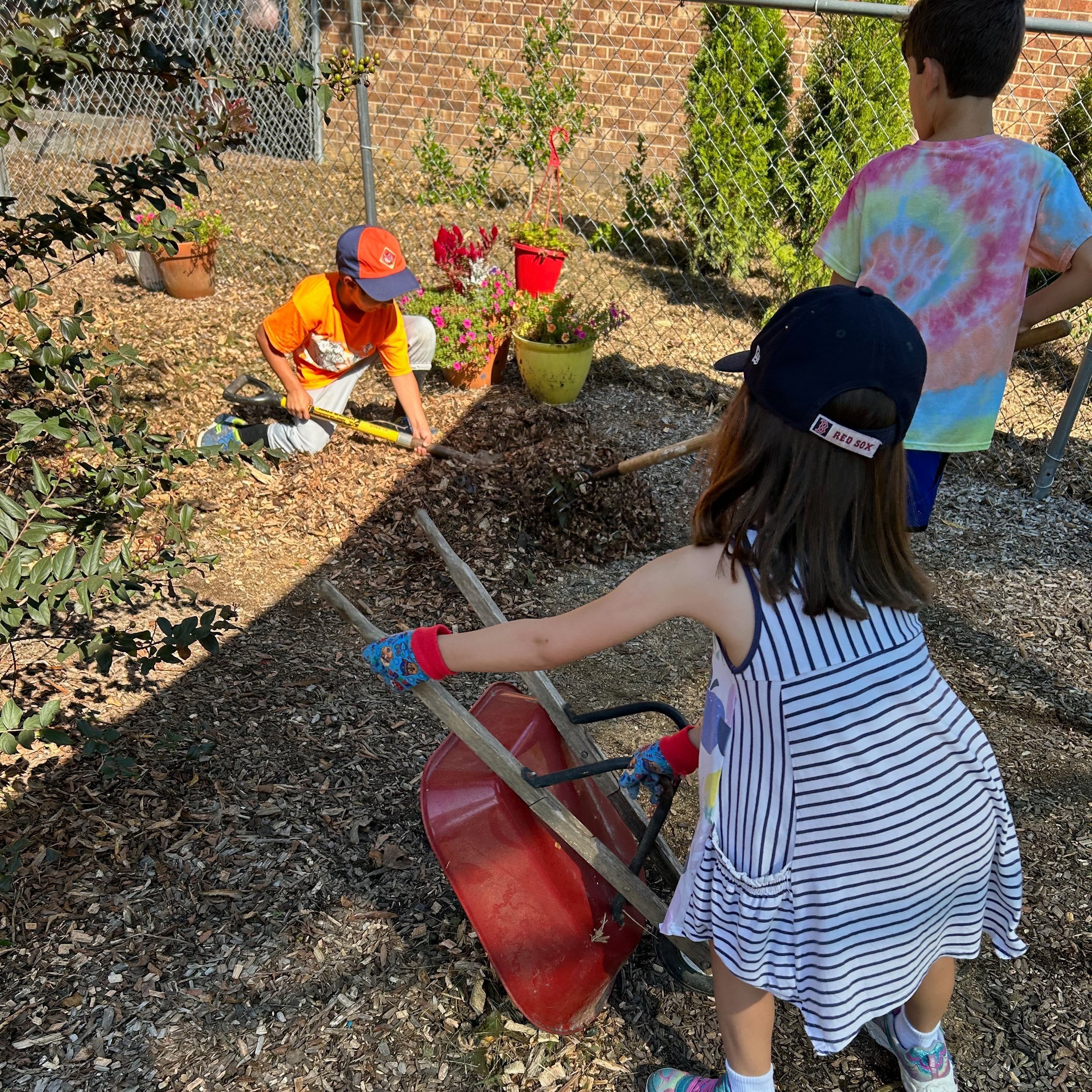 Junior Gardeners