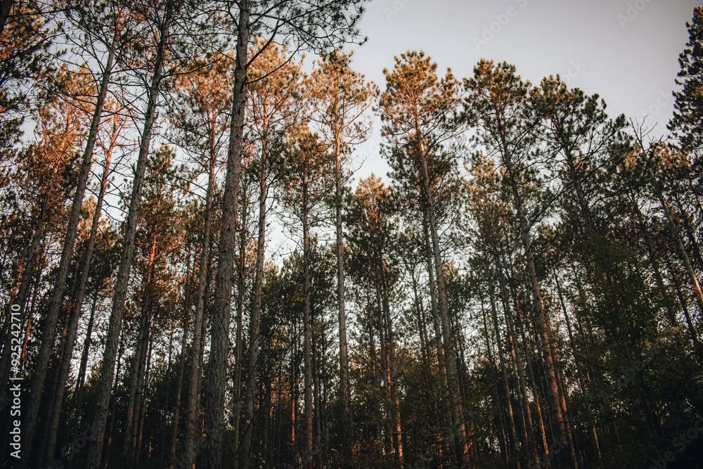 Visit Us — Hancock County