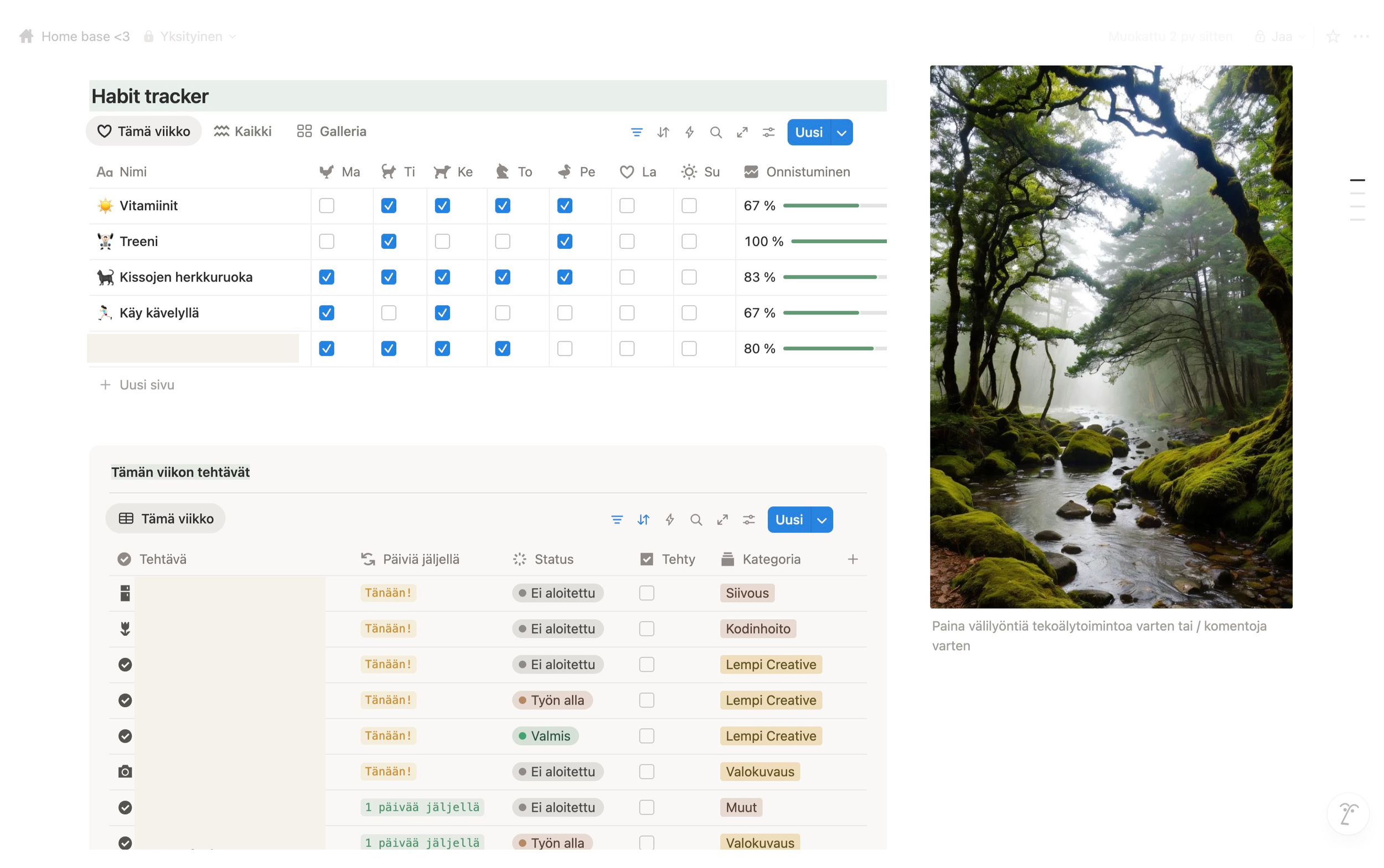 Lempi Creative tekee Notion-sivut yrityksen omien tarpeiden mukaan