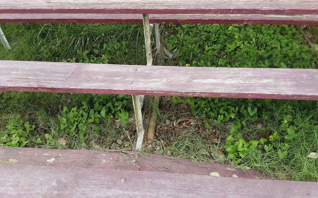 20260627_131948.jpg
