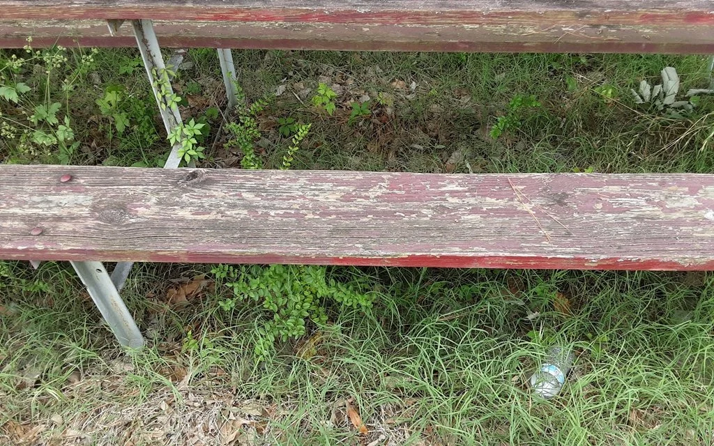 20260627_131938.jpg
