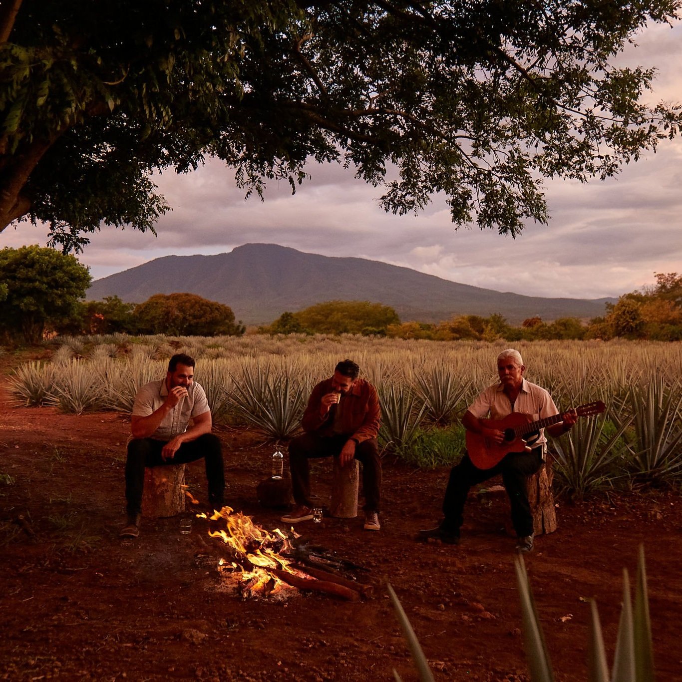 Crafting a Legacy for Celaya Tequila
