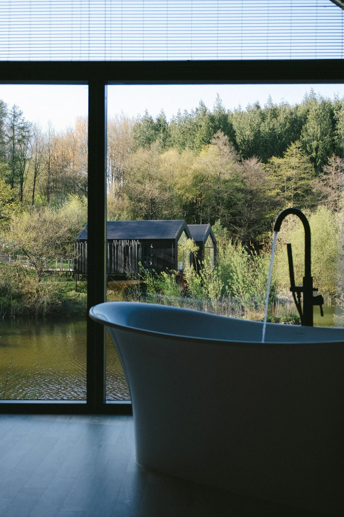 @willthompsonisaway-1 10.jpg