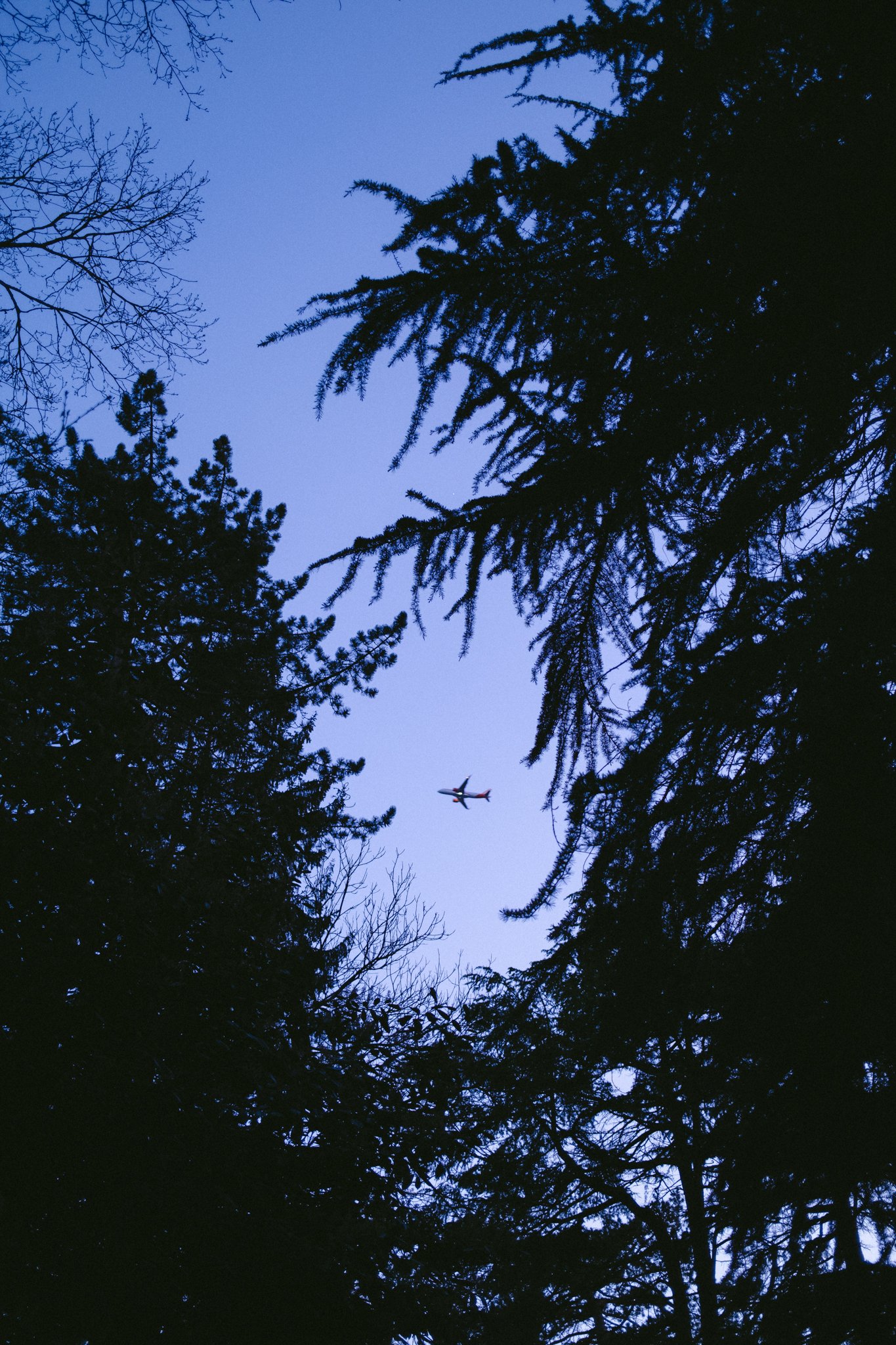 @willthompsonisaway-1 7.jpg