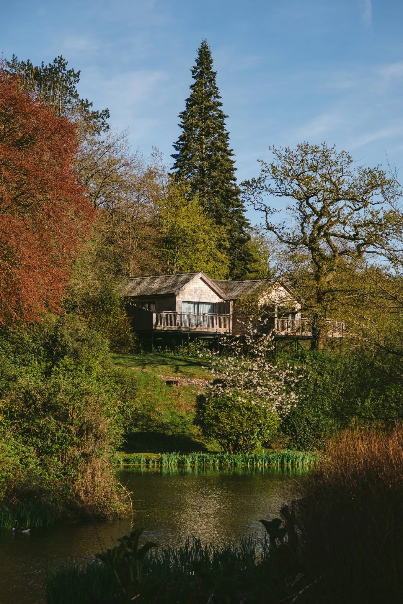 @willthompsonisaway-1 5.jpg