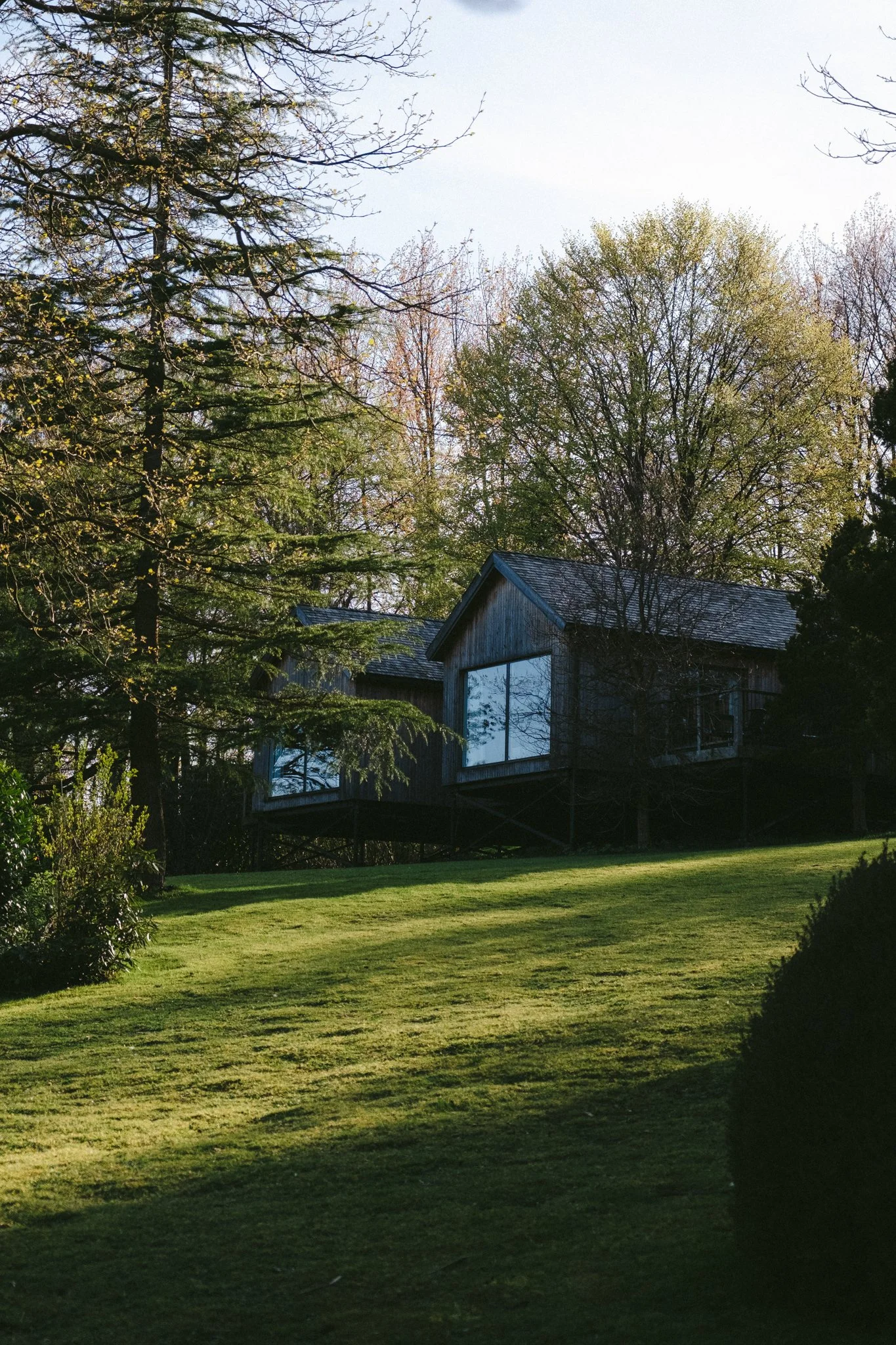 @willthompsonisaway-1 12.jpg