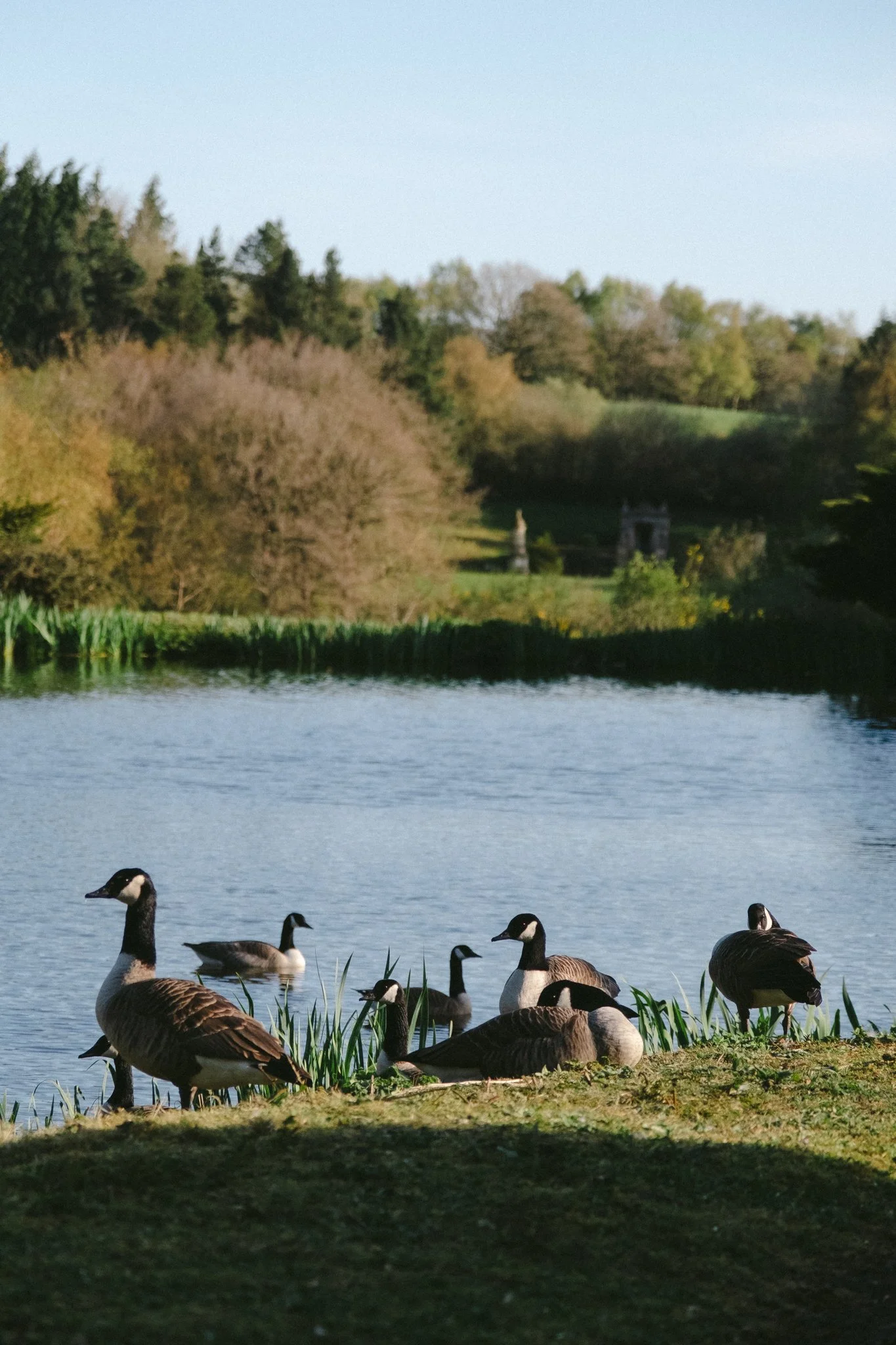 @willthompsonisaway-1 4.jpg