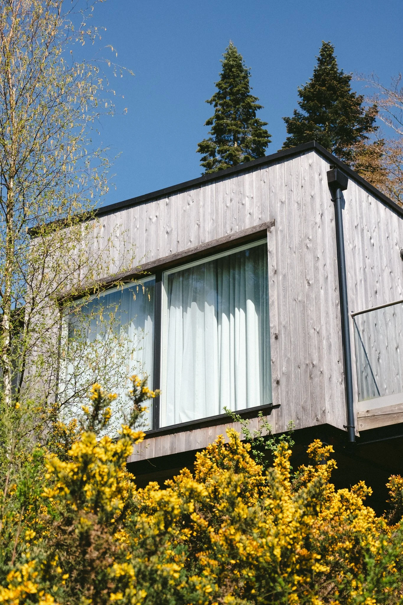 @willthompsonisaway-1 13.jpg