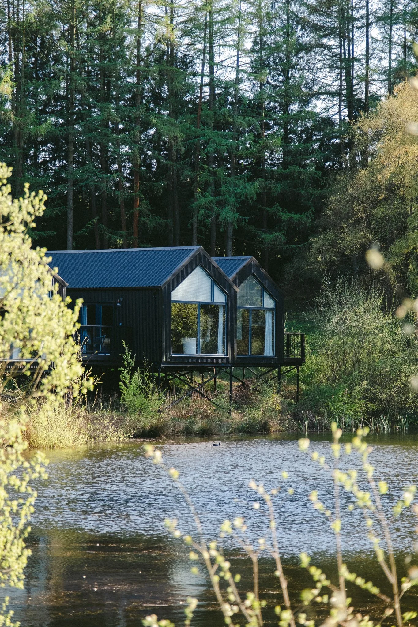 @willthompsonisaway-1 8.jpg