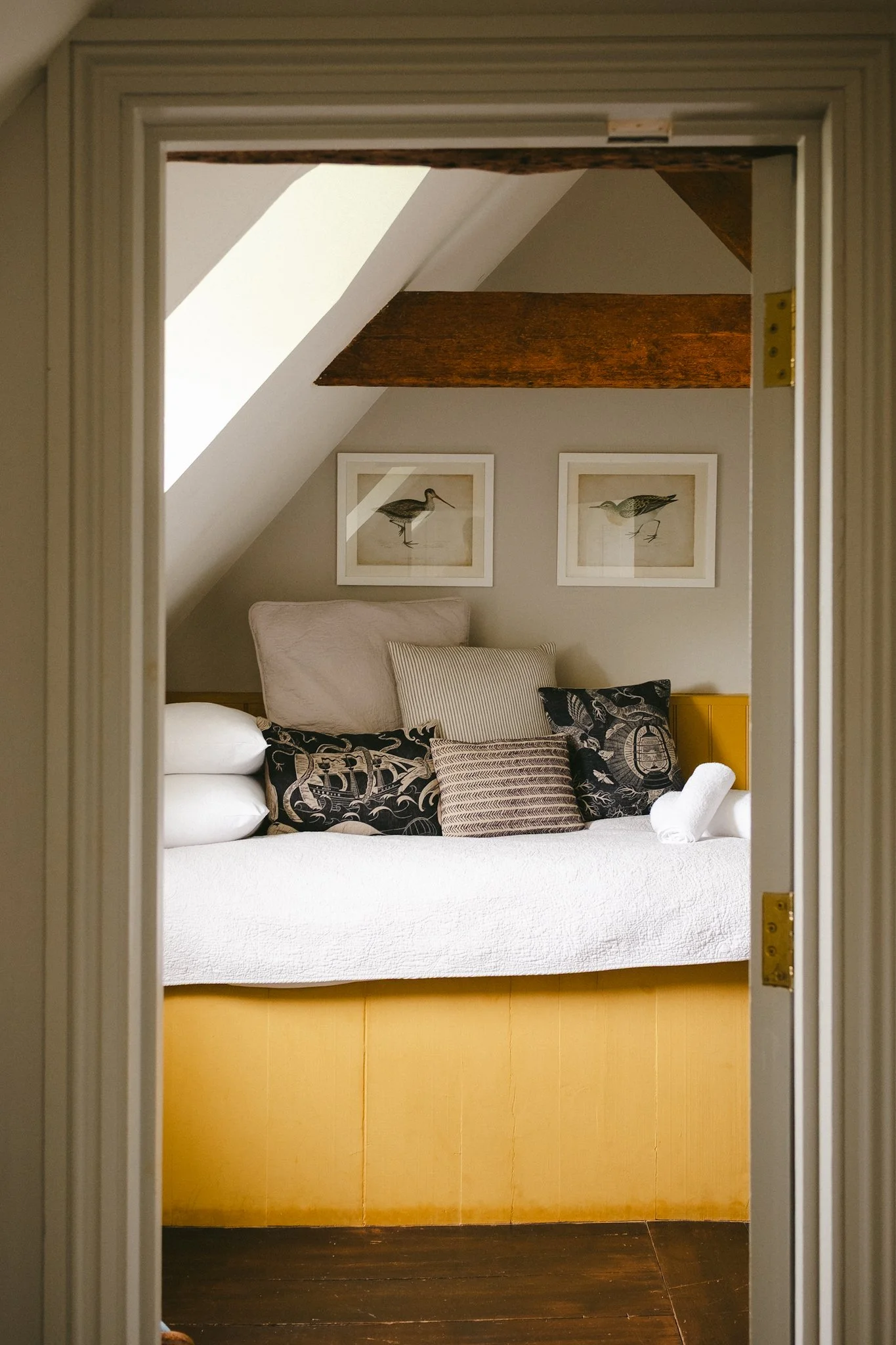 Will Thompson @shotbythompson-07 2.JPG