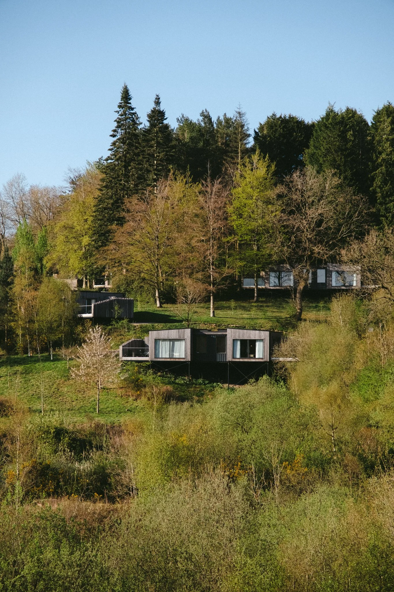 @willthompsonisaway-1 7.jpg