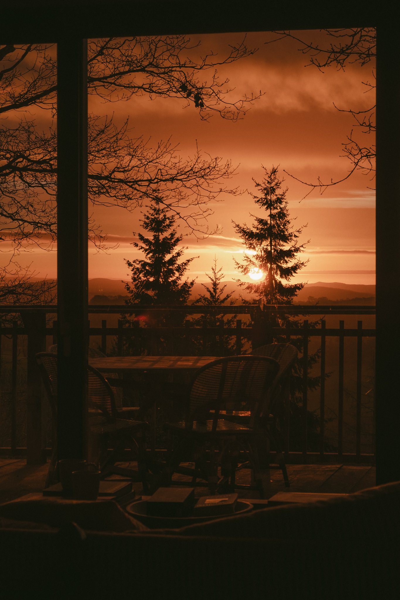 Will Thompson @shotbythompson-1 18.jpg