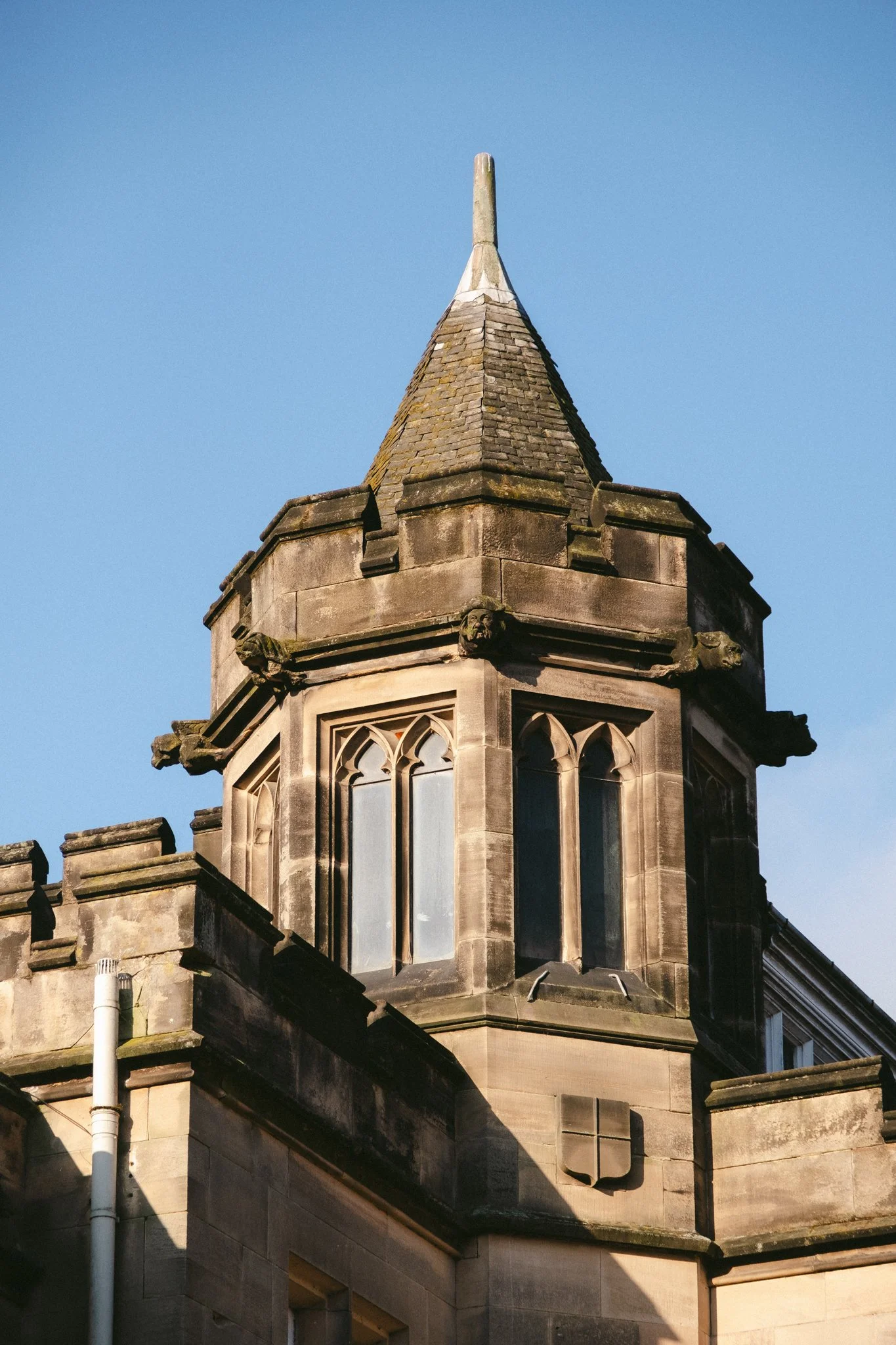 @willthompsonisaway-1 3.jpg