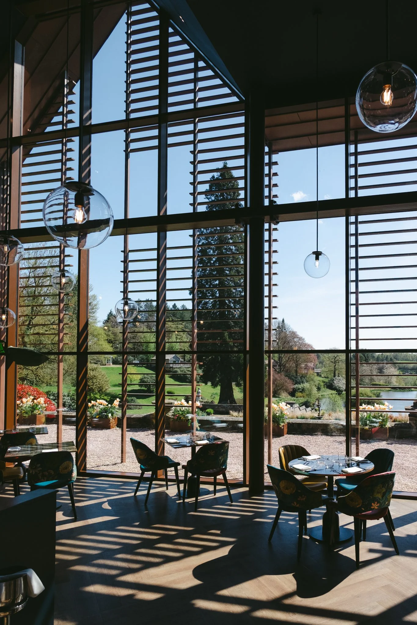 @willthompsonisaway-1 17.jpg