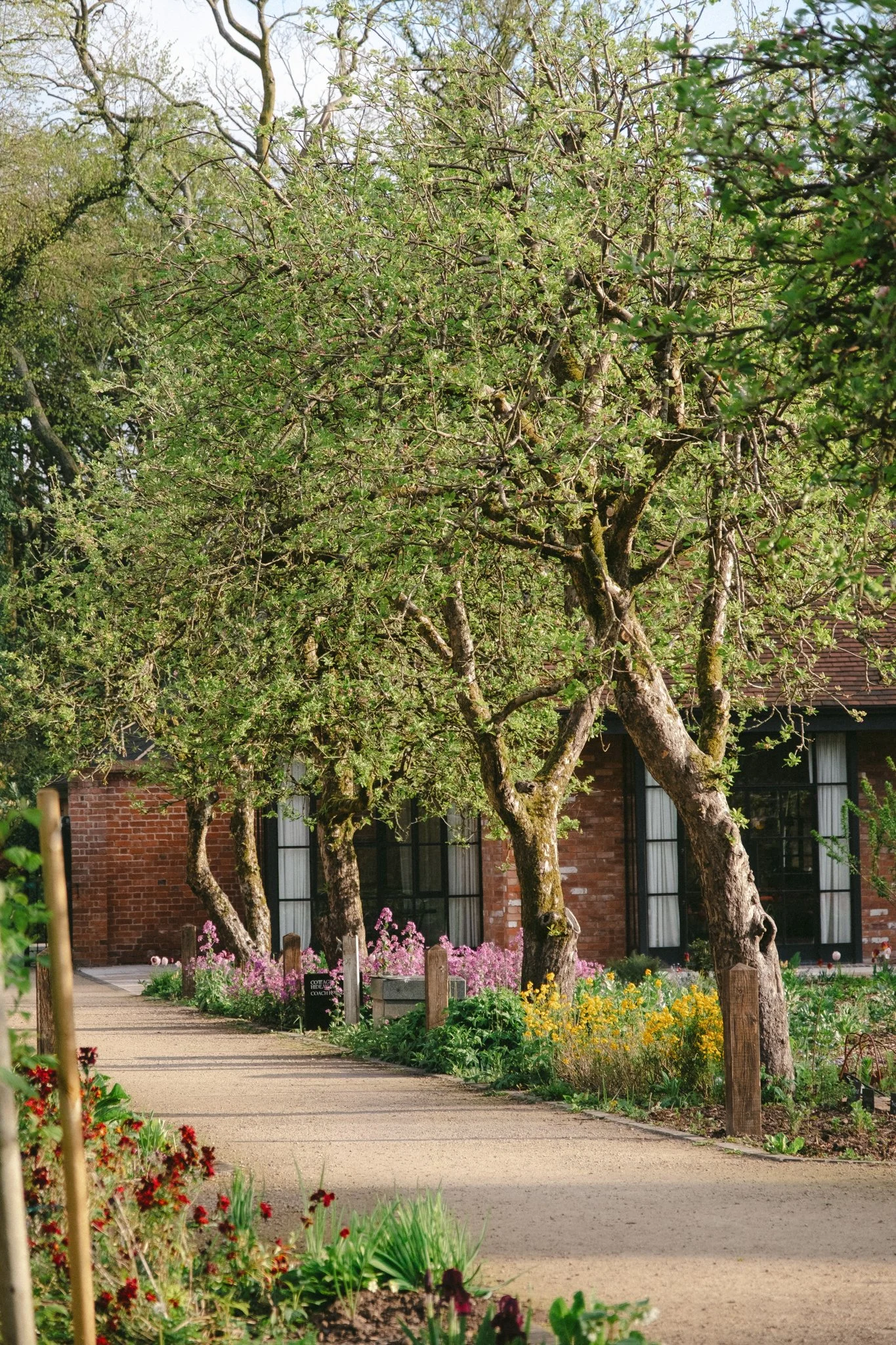 @willthompsonisaway-1 11.jpg