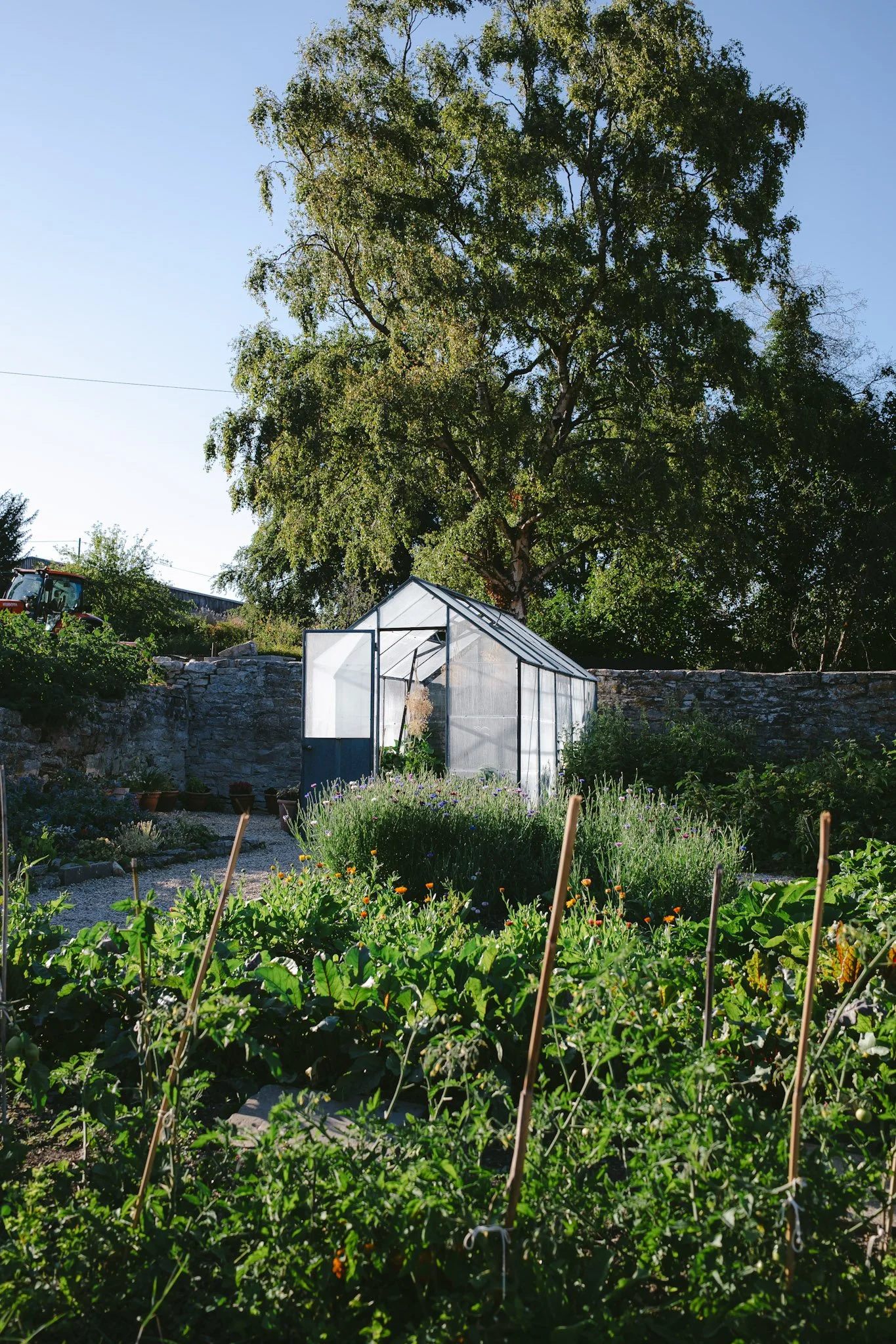 @willthompsonisaway-08 4.JPG